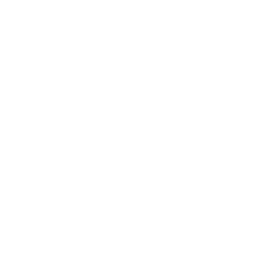 Infrastructure & Network Services 04 economics